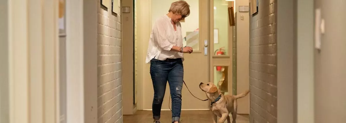 Medewerker en hond lopen in de gang